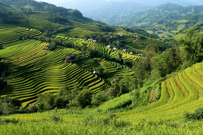 Las 10 mejores experiencias auténticas en Vietnam